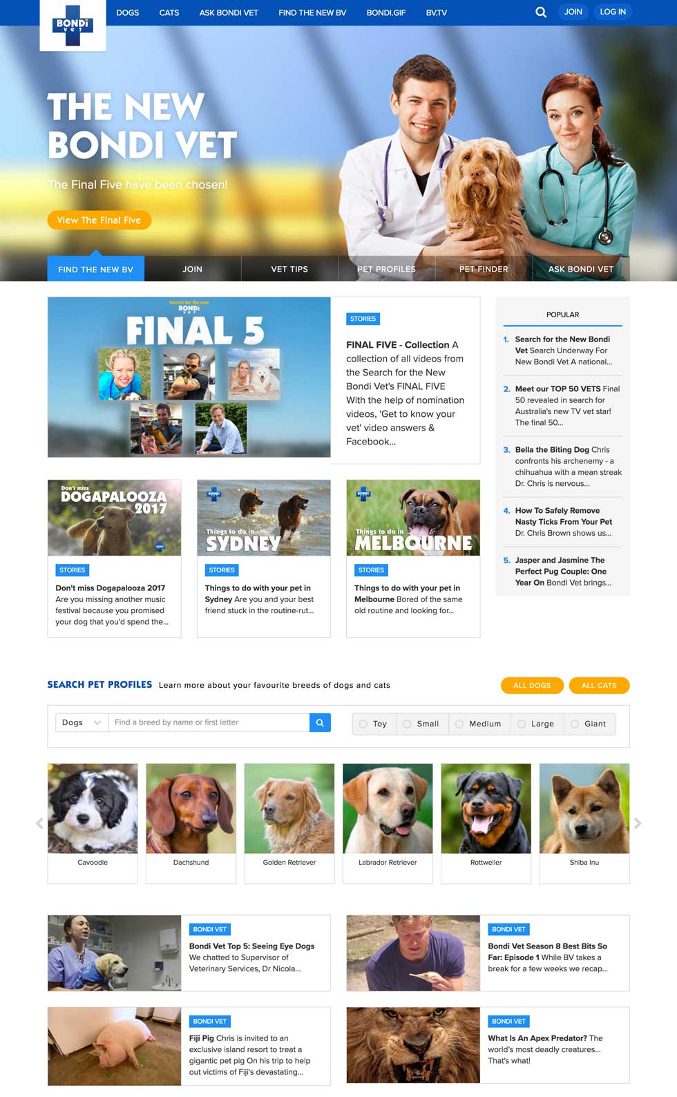 Tailored Treats: Personalised Video and Blog Content for Pet Owners desktop layout