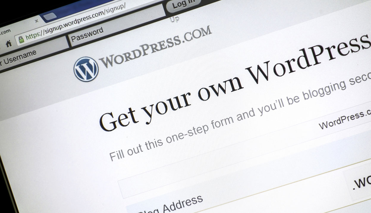 The WordPress Effect